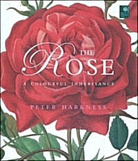 [중고] Rose (Hardcover)