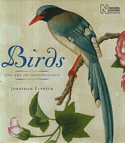 Birds (Hardcover)