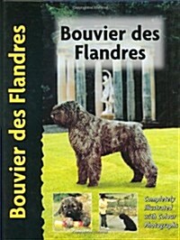 Bouvier des Flandres (Hardcover)