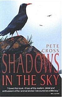 Shadows in the Sky (Paperback)