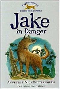 Jake in Danger (Paperback)