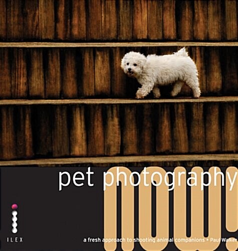 Pet Photography Now! (Paperback)