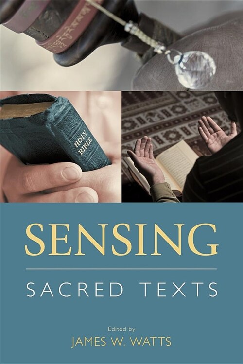 Sensing Sacred Texts (Paperback)