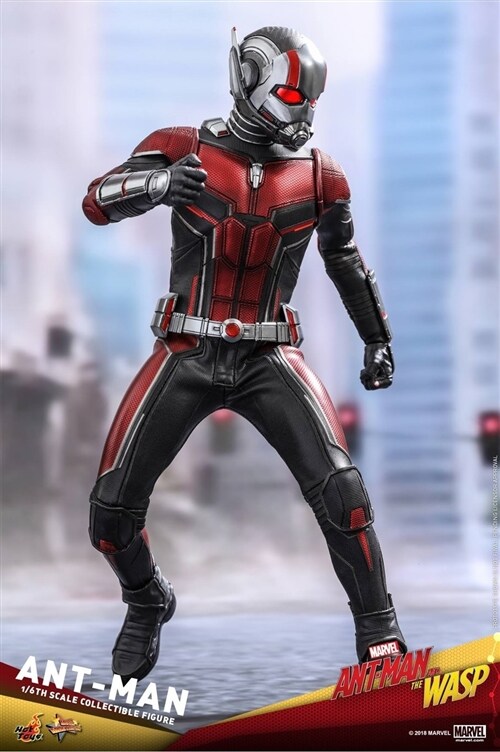 [Hot Toys] 앤트맨과 와스프 : 앤트맨 MMS497 Ant-Man and the Wasp ? 1/6th scale Ant-Man