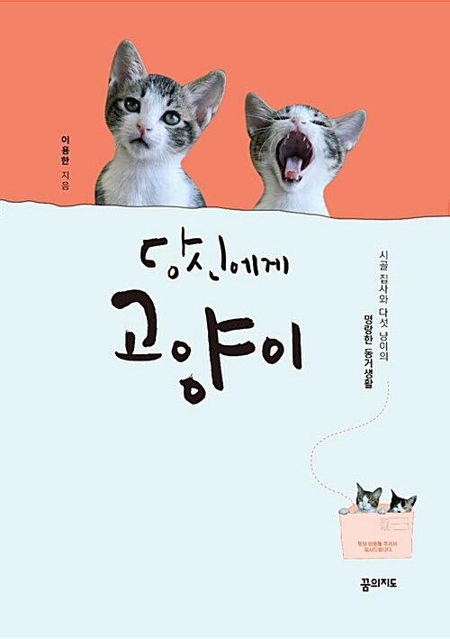 당신에게 고양이