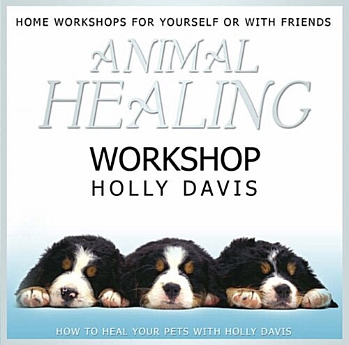 Animal Healing Workshop (Hardcover)