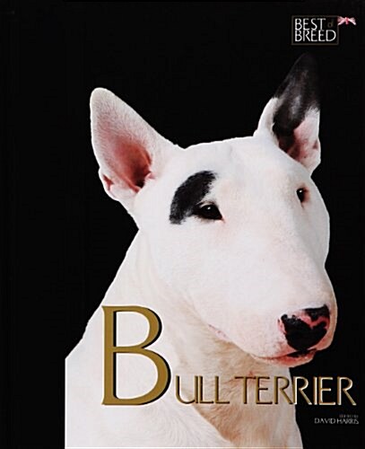 Bull Terrier (Hardcover)