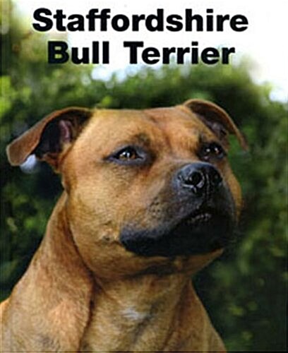 Staffordshire Bull Terrier (Hardcover)