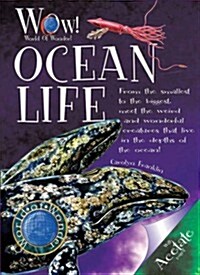 Ocean Life (Paperback)