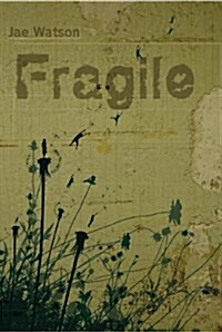 Fragile (Paperback)