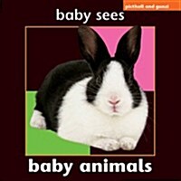 Baby Animals (Hardcover)