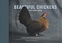 Beautiful Chickens Postcard Book: 30 Postcards of Champion Breeds (Paperback)
