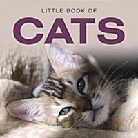 Little Book of Cats (Hardcover)