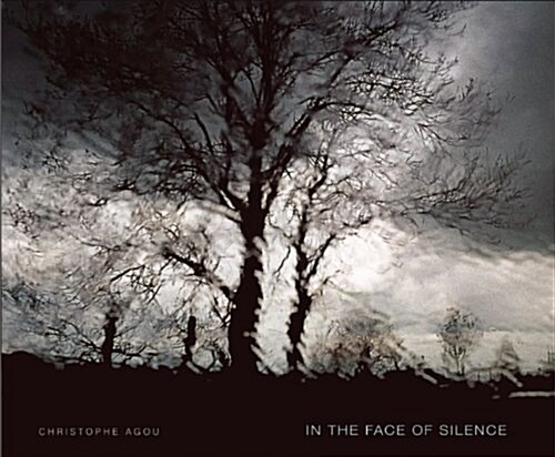 In the Face of Silence (Hardcover)