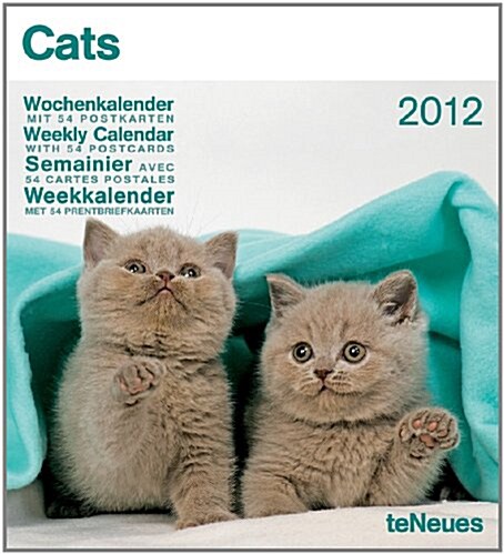 Cats Weekly 2012 Postcard Calendar