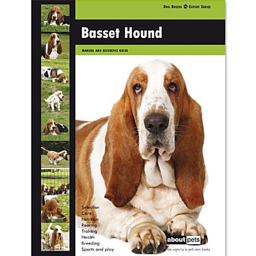 Basset Hound (Paperback)