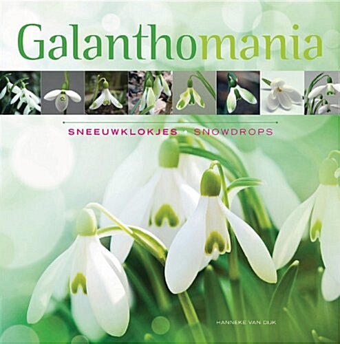 [중고] Galanthomania: Sneeuwklokjes/Snowdrops (Hardcover)