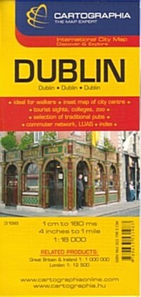 Dublin City Plan (Paperback)