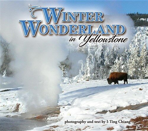 Winter Wonderland in Yellowstone (Paperback)