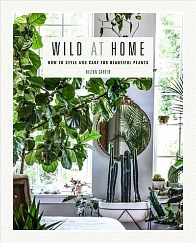 Wild at Home : How to Style and Care for Beautiful Plants (Hardcover)