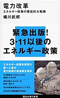 電力改革―エネルギ-政策の歷史的大轉換 (講談社現代新書) (新書)