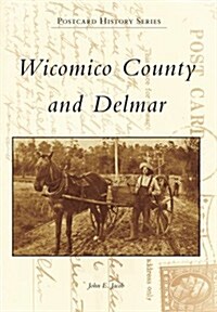 Wicomico County and Delmar (Novelty)