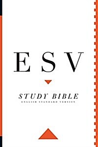 [중고] Study Bible-ESV (Paperback)