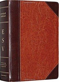 Study Bible-ESV (Imitation Leather)