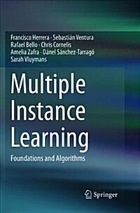 Multiple Instance Learning: Foundations and Algorithms (Paperback)