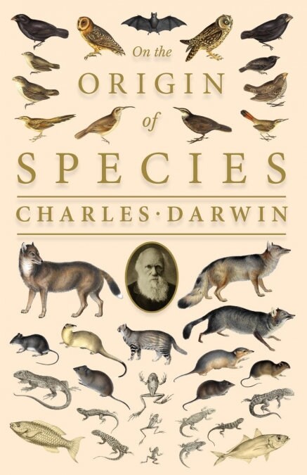 On the Origin of Species;Or; The Preservation of the Favoured Races in the Struggle for Life (Paperback)