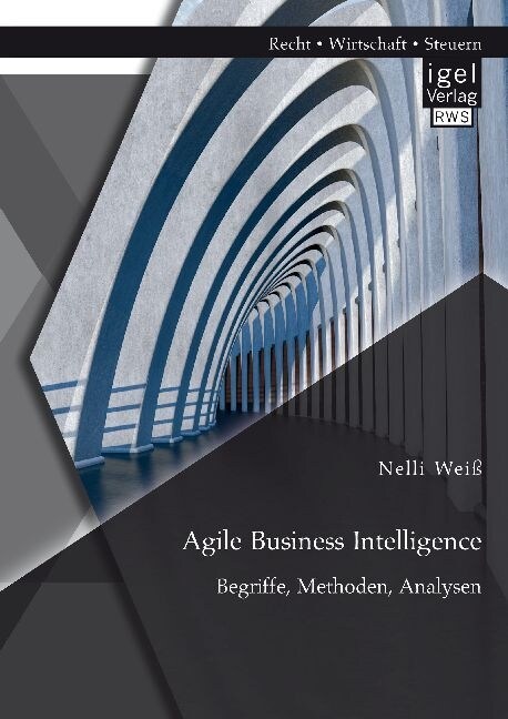 Agile Business Intelligence. Begriffe, Methoden, Analysen (Paperback)