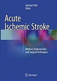 Acute Ischemic Stroke: Medical, Endovascular, and Surgical Techniques (Paperback, Softcover Repri)