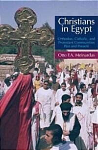 Christians in Egypt: Orthodox, Catholic, and Protestant Communities - Past and Present (Hardcover)
