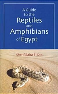 A Guide to Reptiles and Amphibians of Egypt (Hardcover)
