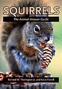 [중고] Squirrels: The Animal Answer Guide (Paperback)