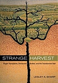 Strange Harvest: Organ Transplants, Denatured Bodies, and the Transformed Self (Paperback)