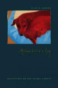 Melancholia's dog : reflections on our animal kinship