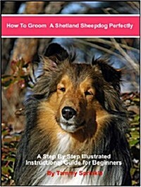 How to Groom a Shetland Sheepdog Perfectly (Paperback)