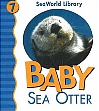Baby Sea Otter (Board Books)
