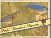 Birds of the Heartland Notecards [With 12 Envelopes] (Loose Leaf)