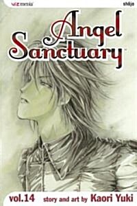 Angel Sanctuary, Vol. 14 (Paperback)