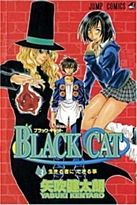 Black Cat, Volume 3 (Paperback)