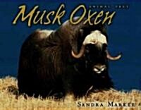 Musk Oxen (Library Binding)