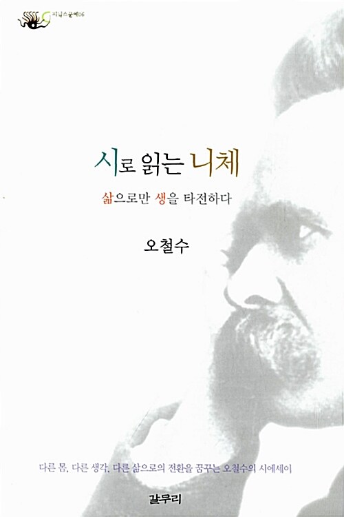 [중고] 시로 읽는 니체