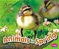 Animals in Spring (Paperback)
