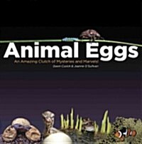 Animal Eggs: An Amazing Clutch of Mysteries and Marvels (Paperback)