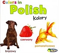 Colors in Polish: Kolory (Hardcover)