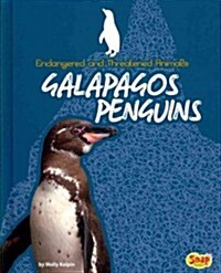 Galapagos Penguins (Hardcover)