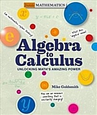 [중고] Algebra to Calculus: Unlocking Math‘s Amazing Power (Paperback)