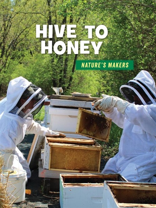 Hive to Honey (Paperback)
